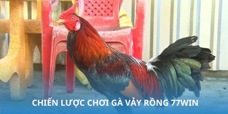 Gà vảy rồng 77win - Khám phá thiên đường của linh kê