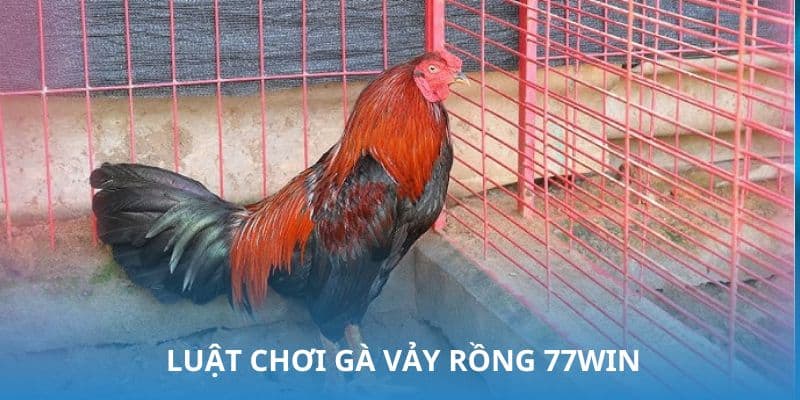 Gà vảy rồng 77win - Khám phá thiên đường của linh kê