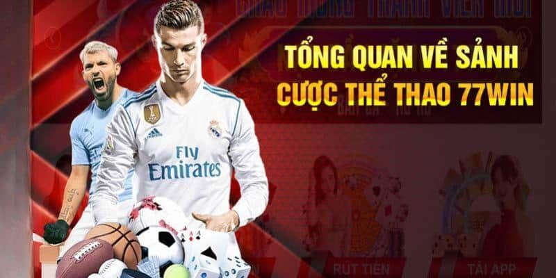 Thể Thao 77win - Công Cụ Tổng Hợp Thông Tin Hàng Đầu