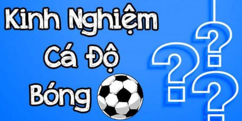 bắt kèo bóng đá 77win